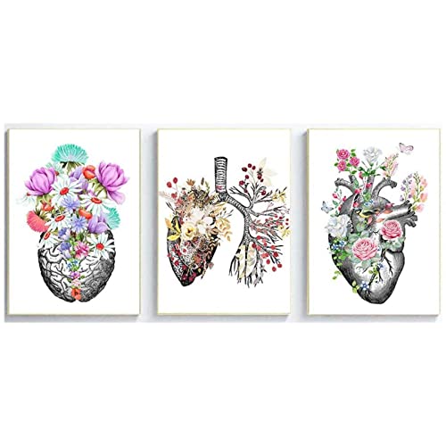 Anatomisches Organ Vintage Blumen Poster Menschliche Anatomie Bild Gehirn Herz Lunge Anatomie Wand Bilder Gemälde Medizinische Raumdekoration Rahmenlos 40×50cm×3 Stück von WTEVMAIY