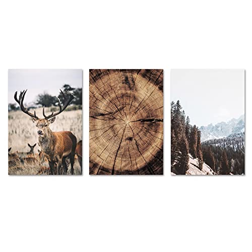 Berglandschaft Tier Hirsch Bild Natur Holz Zuwachsring Skandinavisches Poster Nordic Wand Bilder Leinwand Bild Wohnkultur Rahmenlos 50×70cm×3pcs Berglandschaft Tier Hirsch Bild Natur Holz Zuwachsring Skandinavisches Poster Nordic Wand Bilder Leinwand Bild Wohnkultur Rahmenlos 50×70cm×3pcs von WTEVMAIY