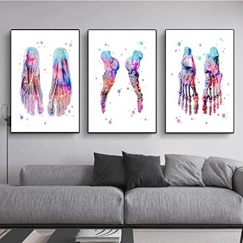 WTEVMAIY Fuß-Set, Skelett, Leinwand, Malerei, Fußknochen, Anatomie, Medizin, Poster, Drucke, Wandkunst, Bild für Wohnzimmer, Wanddekoration, rahmenlos, 50 x 70 cm, 3 Stück von WTEVMAIY