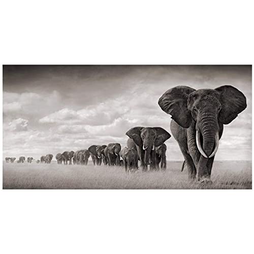 Leinwand Bild Afrikanischer Elefant Wildes Tier Dekoration Gemälde Wandmalerei Rahmenlos 60×120cm von WTEVMAIY