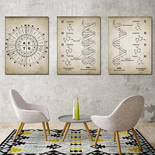 WTEVMAIY Retro Poster DNA und Rna Genetischer Code Leinwand Bild Wand Bilder Poster Kunstdruck Genetik Biologie Chemie Labor Klassenzimmer Wanddekor Rahmenlos 30×40cm×3pcs von WTEVMAIY