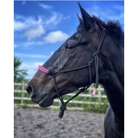 Seilhalfter Mit Farbigem Nasenriemen von WTHorseShop