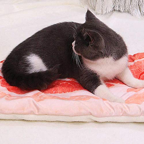 WTMLK Pet Blanket Pet Cat Dog Cushion Warm Sleeping Pet Pad Bacon Modelling Blanket Pet Supplies Mat for Small Medium Dogs von WTMLK