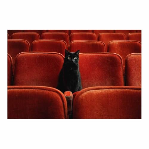 WUFIEA Katze Leinwand Gemälde Wandkunst Mog sitzt auf einem Stuhl für Badezimmer, Poster Home lustige Tier Dekoration(Rot13)-60x80cm Ungerahmt von WUFIEA