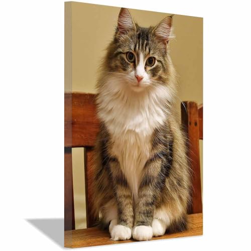 WUFIEA Katze Leinwand Gemälde Wandkunst Stuhl-Mog für Badezimmer, Poster Home lustige Tier Dekoration(Kaffee Braun199)-60x80cm Gerahmt von WUFIEA