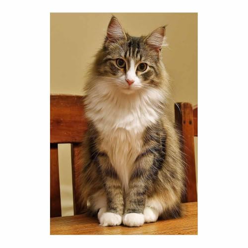 WUFIEA Katze Leinwand Gemälde Wandkunst Stuhl-Mog für Badezimmer, Poster Home lustige Tier Dekoration(Kaffee Braun199)-60x80cm Ungerahmt von WUFIEA