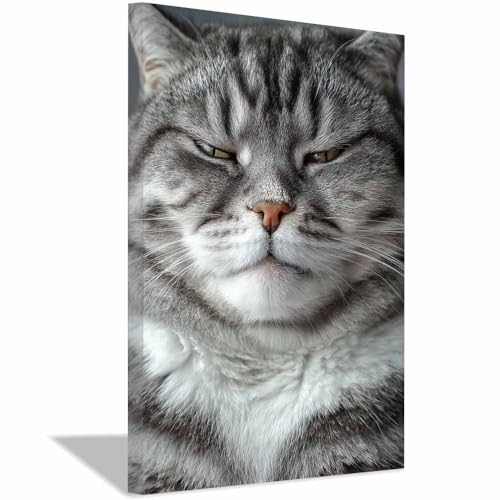 WUFIEA Leinwandbild mit Katzenmotiv, lustiges Tier Faules Miau Wohnzimmer Schlafzimmer Badezimmer Halloween Wanddekoration(Grau243)-20x30cm Gerahmt von WUFIEA