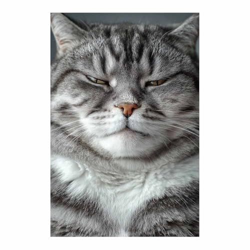 WUFIEA Leinwandbild mit Katzenmotiv, lustiges Tier Faules Miau Wohnzimmer Schlafzimmer Badezimmer Halloween Wanddekoration(Grau243)-20x30cm Ungerahmt von WUFIEA