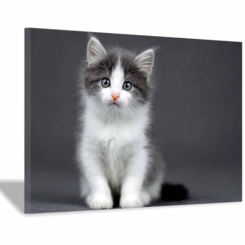 WUFIEA Leinwandbild mit Katzenmotiv, lustiges Tier Grau-weißer Mog Wohnzimmer Schlafzimmer Badezimmer Halloween Wanddekoration(Grau105)-60x80cm Gerahmt von WUFIEA