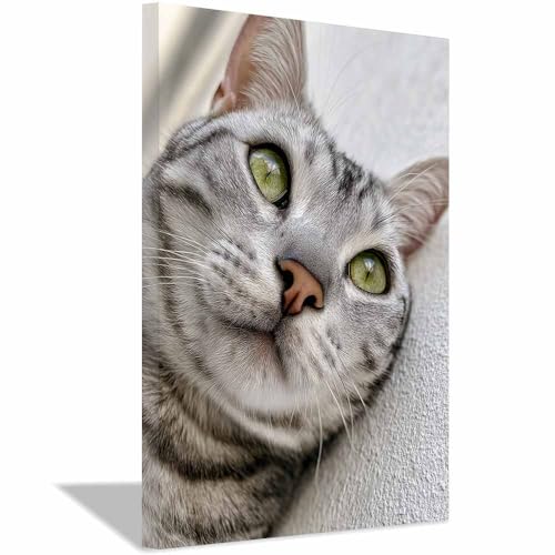 WUFIEA Leinwandbild mit Katzenmotiv, lustiges Tier Schiefe Köpfe-Miau Wohnzimmer Schlafzimmer Badezimmer Halloween Wanddekoration(Grau252)-20x30cm Gerahmt von WUFIEA