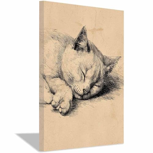 WUFIEA Leinwandbild mit Katzenmotiv, lustiges Tier Schlafendes Mog-Gemälde Wohnzimmer Schlafzimmer Badezimmer Halloween Wanddekoration(Beige237)-20x30cm Gerahmt von WUFIEA