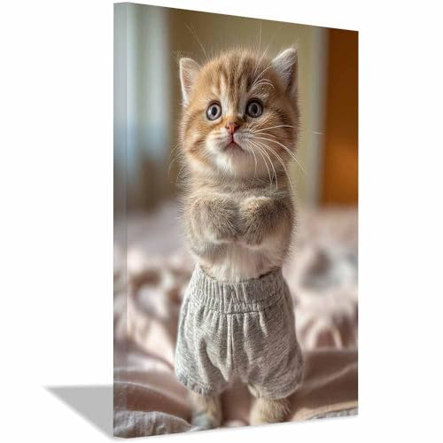 WUFIEA Leinwandbild mit Katzenmotiv, lustiges Tier Shorts-Mog Wohnzimmer Schlafzimmer Badezimmer Halloween Wanddekoration(Kaki222)-20x30cm Gerahmt von WUFIEA