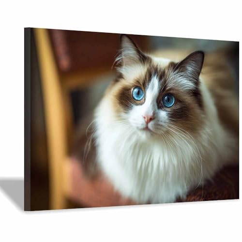 WUFIEA Leinwandbild mit Katzenmotiv, lustiges Tier Stoffpuppenmog Wohnzimmer Schlafzimmer Badezimmer Halloween Wanddekoration(Braun141)-70x100cm Gerahmt von WUFIEA