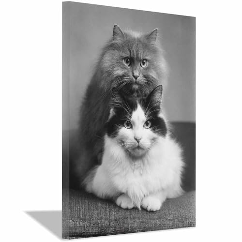 WUFIEA Leinwandbild mit Katzenmotiv, lustiges Tier Zwei Mogs zusammen Wohnzimmer Schlafzimmer Badezimmer Halloween Wanddekoration(Grau183)-70x100cm Gerahmt von WUFIEA