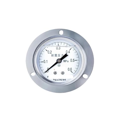 YTN-60ZT Seismisches Druckmessgerät aus Edelstahl, ölgefüllt, axial, hydraulische Oberflächenplatte, Installation, Wasserdruck, Öldruckmessgerät, 0–1,6 MPa (0–0,6 MPa) von WUGMCNFBC