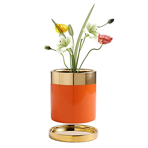 WUHUAROU Blumentopf Zylindrischer Orange Blumentopf Keramik Blumentopf mit Untersetzer Moderne Zimmerdekoration Pflanzen Sukkulenten Pflanzgefäß von WUHUAROU