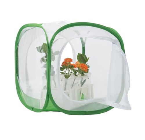 Faunarium Insektenbox Pop-up-Insektenkäfig Mit Zwei Türen for Schmetterlingshabitate Schnecken Terrarium(Grün,30x30x30cm) von WUTIANBAO