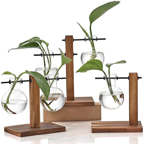 WUWEOT 3 Stück Hydroponik Glasvase mit Holz Halter Hängevase Blumenvase Tischvase Dekovase Birne Vintage Avocado Vase mit Holzständer Dekoration für Zuhause Garten Büro Schreibtisch von WUWEOT