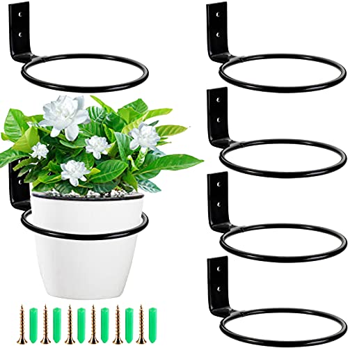 WUWEOT 6 Stück Wandhalterung Blumentopf 10cm Blumentopfhalter Wand Ring Wandmontage Pflanzen Pflanzenhalter für Haus Garten Balkon Schwarz von WUWEOT