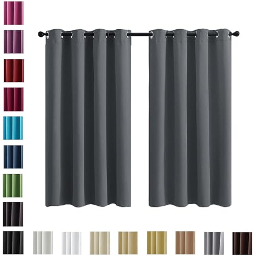 WUXXIANG 2Er Set Gardinen Vorhang Blickdicht mit Ösen 50 x 200 cm Sonnenschutz Schalldämmung, Wohnzimmer Lärmschutz Thermogardine mit Ösen, mit Raffhalter für Wohnzimmer Kinderzimmer, Dunkelgrau von WUXXIANG