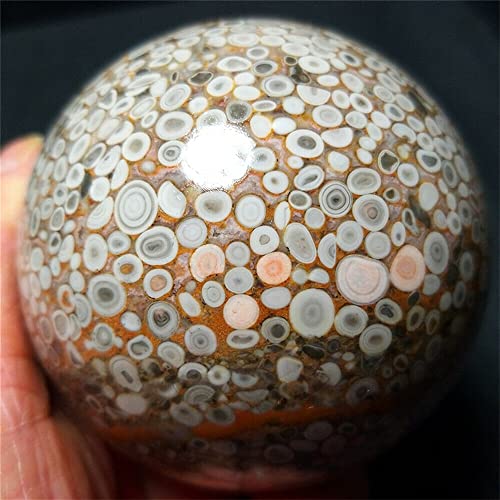 Natürliche Coralline Jade Fisheye Steinkugel Handpolierter Kristall Home Office Dekoration Craft Geschenk WVWKLNAQ (Size : 750-800g) von WVWKLNAQ