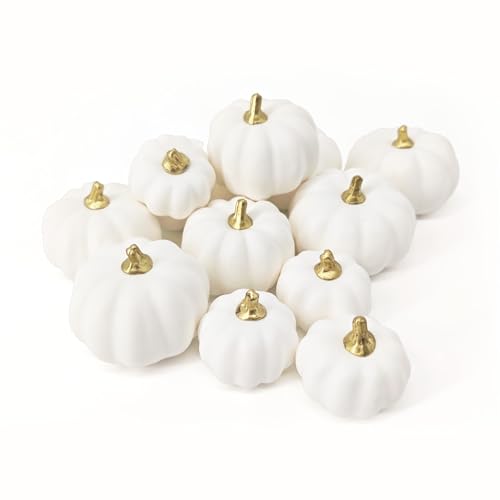 12 Stück Künstliche Herbstdeko Kürbis, Faux Mini Weiß Kürbis Deko Herbst Verschiedene Größen Schaum Zierkürbisse für Herbstdeko Tisch Thanksgiving Halloween Party (Weiß) von WVWMYM