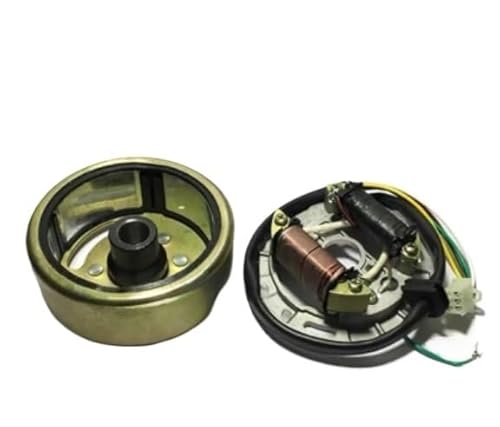 WWCYGWQ Zubehör AX-100 Zweitakt-Motorrad AX100 Magneto-Statorrotor-Baugruppe AX 100 Generator-Statorrotor Ersetzen(Rotor and Coil) von WWCYGWQ