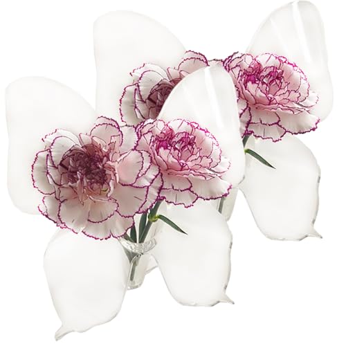 WWPgetrich Butterfly Vase 2pcs Butterfly Flower Vase Acrylic Butterfly Picture Frame Vase for Home Cafes Work Desk Etc(Transparent) von WWPgetrich