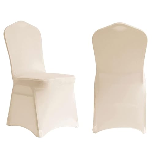 WWQQKJ Stuhlhussen aus elastischem Spandex, universelle, abnehmbare und waschbare Stuhlhussen for Hochzeitsfeiern, Bankette, Esszimmermöbel, Stuhlschutz(Champagne,6 Pezzi) von WWQQKJ