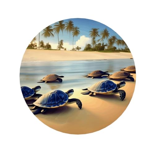 Kühlschrankmagnete mit Schildkröten am Strand, geeignet für Whiteboards, Kühlschränke und Dekorationsartikel Kühlschrankmagnete mit Schildkröten am Strand, geeignet für Whiteboards, Kühlschränke und Dekorationsartikel von WXCJWD