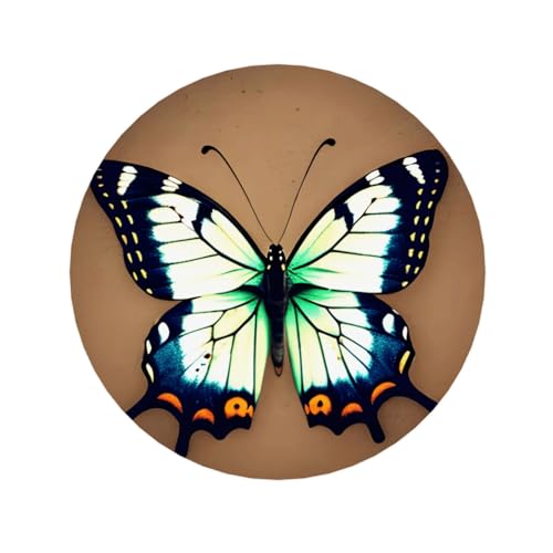 Niedliche kleine Schmetterling-Kühlschrankmagnete, geeignet für Whiteboards, Kühlschränke und Dekorationsartikel Niedliche kleine Schmetterling-Kühlschrankmagnete, geeignet für Whiteboards, Kühlschränke und Dekorationsartikel von WXCJWD