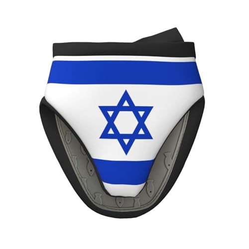 Silikon-Ofenhandschuhe mit israelischer Flagge, geeignet zum Grillen, Kochen und Backen von WXCJWD