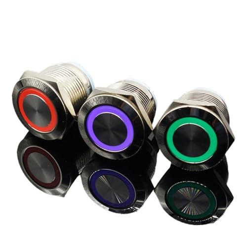 2 stücke 19mm Wasserdicht Momentary Edelstahl Metall Türklingel Glocke Horn Push Button Schalter LED Auto Auto 5V 12V 24V 220V(Blue,MOMENTARY_12V) von WXCQCIHV