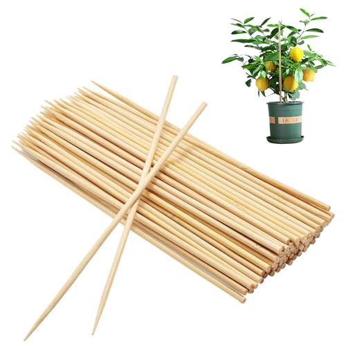 150 Stück Bambusstäbchen für Pflanzen 39,9 cm natürliche Bambus-Pflanzenstäbe polierte Bambusspieße stabil unterstützte Spieße zum Grillen von Pflanzen, Tomaten, Blumentopfspieße, Bambusspieße von WXEBQHZ