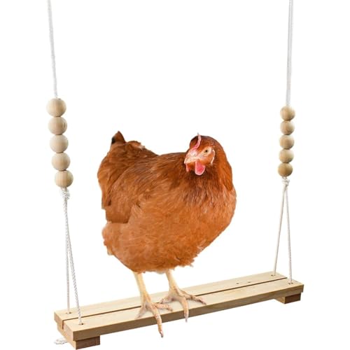 Chicken Swing Toy for Coop Natural Safe Wooden Accessories Handmade in USA Large Perch Ladder for Poultry Run Rooster Hens Chicks Pet Parrots Macaw Entertainment Stress Relief for Birds von WXEBQHZ
