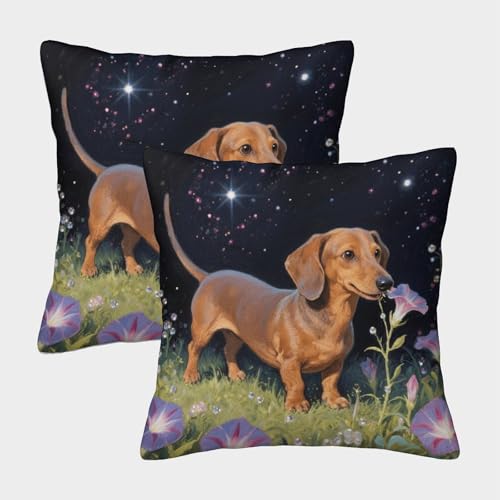 Dackel Kissenbezug 2er Set Dackel Blumen Kissenhülle Waschbar Couchkissen Bezug Für Sofa Schlafzimmer Gartenbett Deko 50x50cm Dackel Kissenbezug 2er Set Dackel Blumen Kissenhülle Waschbar Couchkissen Bezug Für Sofa Schlafzimmer Gartenbett Deko 50x50cm von WXLWHR