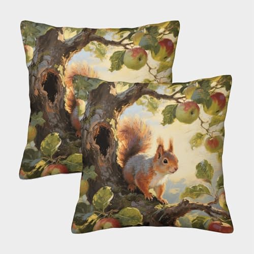 WXLWHR Eichhörnchen Kissenbezug 2er Set Eichhörnchen Obstbaum Kissenhülle Waschbar Dekokissen Bezug Für Sofa Zuhause Garten Outdoor Frühling Deko 40x40cm WXLWHR Eichhörnchen Kissenbezug 2er Set Eichhörnchen Obstbaum Kissenhülle Waschbar Dekokissen Bezug Für Sofa Zuhause Garten Outdoor Frühling Deko 40x40cm von WXLWHR
