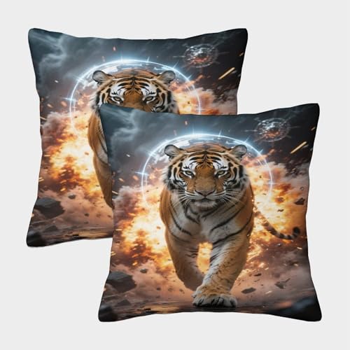 WXLWHR Kissenbezug Tiger Explosionshintergrund 2er Set, Deko Kissen Kuschelkissen, Für Sofa, Schlafzimmer, Gartenbett, Dekoration 40x40cm von WXLWHR
