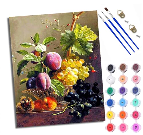 Malen Nach Zahlen Erwachsene Paint by Numbers Malen Nach Zahlen mit Pinseln und Acrylfarben Obst im Obstkorb Handgemalte Ölgemälde Leinwand für Home Décor Ohne Rahmen von WXRWANG