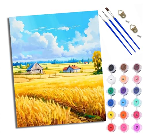 WXRWANG Malen Nach Zahlen ErwachseneBlauer Himmel Weizenfeld Hütte DIY handgemaltes Ölgemälde Set für Anfänger und Erwachsene Acrylfarbe Heimdekoration Geschenk Weihnachten Mit Rahmen von WXRWANG