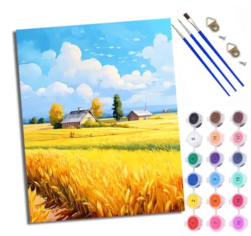 WXRWANG Malen Nach Zahlen Für Erwachsene Blauer Himmel Weizenfeld Hütte Malen Nach Zahlen Erwachsene Malen Nach Zahlen DIY Malen-Nach-Zahlen Kits Mit 3 Pinseln - 16 * 20 Zoll Mit Rahmen von WXRWANG