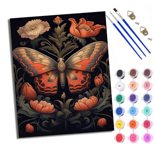 WXRWANG Malen Nach Zahlen Für Erwachsene Blumen Schöner Schmetterling Malen Nach Zahlen Erwachsene Malen Nach Zahlen DIY Malen-Nach-Zahlen Kits Mit 3 Pinseln - 16 * 20 Zoll Mit Rahmen WXRWANG Malen Nach Zahlen Für Erwachsene Blumen Schöner Schmetterling Malen Nach Zahlen Erwachsene Malen Nach Zahlen DIY Malen-Nach-Zahlen Kits Mit 3 Pinseln - 16 * 20 Zoll Mit Rahmen von WXRWANG