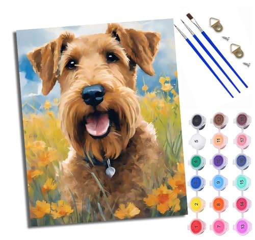 WXRWANG Malen Nach Zahlen Für Erwachsene Irischer Terrier Malen Nach Zahlen Erwachsene Malen Nach Zahlen DIY Malen-Nach-Zahlen Kits Mit 3 Pinseln - 16 * 20 Zoll Mit Rahmen von WXRWANG