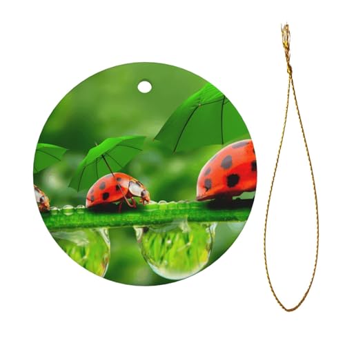 Lustiger Marienkäfer-Druck, Weihnachtsschmuck, Paar, Geschenke für Sie und Ihn, Weihnachtsbaumschmuck, Keramik, hängende Ornamente, Jahrestag Lustiger Marienkäfer-Druck, Weihnachtsschmuck, Paar, Geschenke für Sie und Ihn, Weihnachtsbaumschmuck, Keramik, hängende Ornamente, Jahrestag von WXWJSHMGC