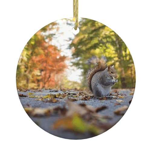 Niedlicher Eichhörnchen-Druck, Weihnachtsschmuck, Paar, Geschenke für Sie und Ihn, Weihnachtsbaumschmuck, Keramik, hängende Ornamente, Jahrestag Niedlicher Eichhörnchen-Druck, Weihnachtsschmuck, Paar, Geschenke für Sie und Ihn, Weihnachtsbaumschmuck, Keramik, hängende Ornamente, Jahrestag von WXWJSHMGC