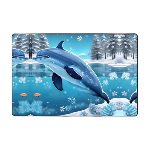 Winter The Dolphin Bedruckter Wohnzimmer-Teppich, 183 x 122 cm, für Couchtisch/Nachttisch/Büro/Balkon von WXXWXD