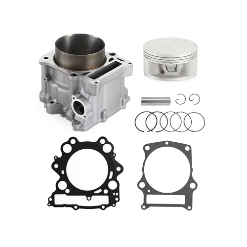 WXZOZMD 102mm Big Bore Top End Kit Zylinder for Yamaha YFM Grizzly Rhino 660 Raptor 660R 2001-2008 5KM-11310-00-00 Motor Dauerhaft von WXZOZMD