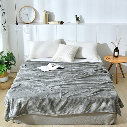 WYJHNLBEDC Tagesdecke 180x200, Sofa überwurfdecke, Kuscheldecke Flauschig Warme Decke Fleecedecke Schlafdecke Couch überwurf Sofa Decken überwurf Set Wolldecke Baumwolle Hellgrau von WYJHNLBEDC
