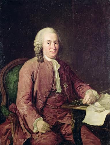 WYKUJMYTO Bekannt Leinwand Druck Wand Leinwanddruck Malerei Porträt von Carl von Linnaeus von Alexander Roslin Kunstwerk Bilder für Bürodekoration 60x90cm von WYKUJMYTO