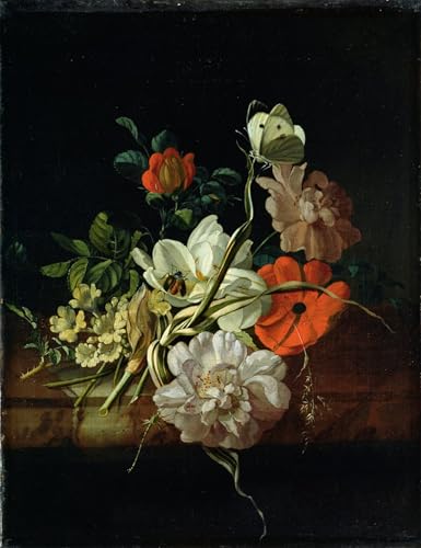 WYKUJMYTO Bekannt Leinwand Druck Wand Leinwanddruck Malerei Stillleben mit Blumen von Ruysch Kunstwerk Bilder für Bürodekoration 60x90cm WYKUJMYTO Bekannt Leinwand Druck Wand Leinwanddruck Malerei Stillleben mit Blumen von Ruysch Kunstwerk Bilder für Bürodekoration 60x90cm von WYKUJMYTO